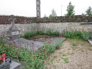 Des valérianes en fleurs bordent un mur en pierres et une vieille tombe