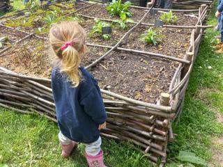Un enfant en train d'observer un jardin "en carrés"