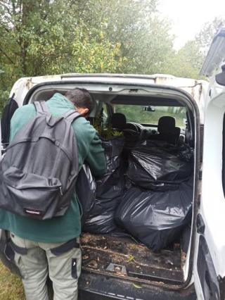 Une camionnette remplie de sacs poubelles avec les Solidage du Canada arraché
