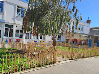 Devant la façade d'une école, un saule est planté et des espaces végétalisés sont installés.