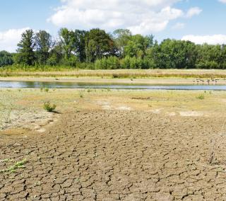 Un étang en grande partie asséché, avec de la terre craquelée au premier plan