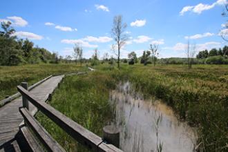 ENS - Marais d'Episy