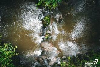 Rivière l'Orvanne à Voulx