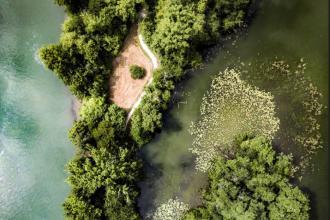 On voit l'ENS du Haut, comme une presque île dans une eau vert bleu