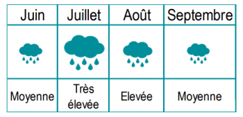 La pluviométrie est représenté par un nuage plus ou moins gros pour les mois de juin à septembre. En juillet le nuage est très gros.