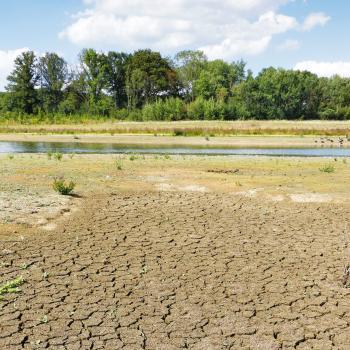 Un étang en grande partie asséché, avec de la terre craquelée au premier plan