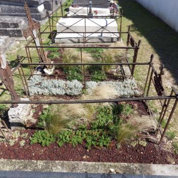 Essai de plantation de vivaces sur les tombes abandonnées et les entre-tombes d'un cimetière