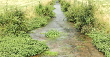 Rivière le Betz (affluent du Loing)