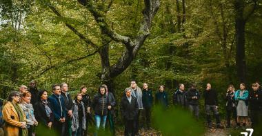 Une assemblée dans un milieu boisé et vert