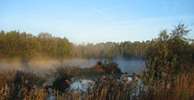 ENS Marais d'Episy - Etang dans la brume matinale