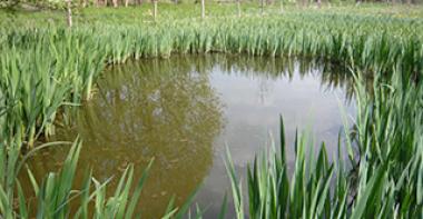 ENS La Prairie Clemenceau, Moret sur Loing