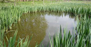 ENS La Prairie Clemenceau, Moret sur Loing 