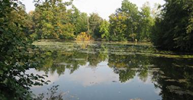 Etang de l'ENS "Basses Godernes" à Champagne-sur-Seine