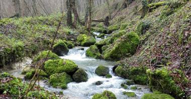 Rivière l'Auxence