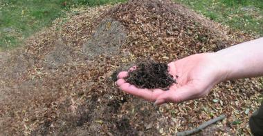 Compost