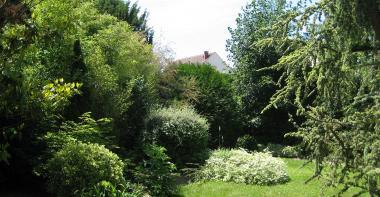 Jardin vert