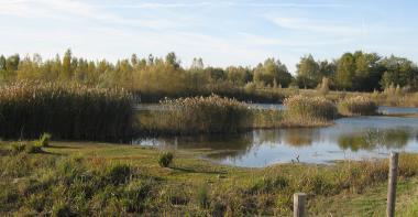 Marais de Congis-sur-Thérouanne