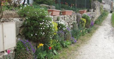 Montmachoux fleurissement particulier