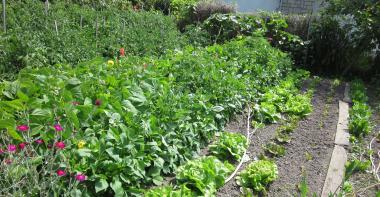 Potager