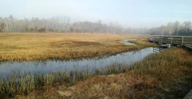 Zone humide ENS Marais d'Episy