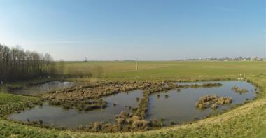 Un champ renfoncée, formant comme une cuvette d'eau parsemé de végétaux. En arrière plan, un grand ciel bleu.