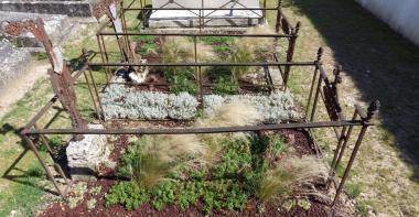 Essai de plantation de vivaces sur les tombes abandonnées et les entre-tombes d'un cimetière