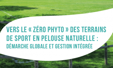 Vers le "zéro phyto" des terrains de sport en pelouse naturelle : démarche globale et gestion intégrée