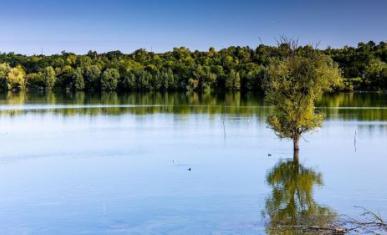 Boucles de la Marne, en aval de Meaux - ENS les Olivettes