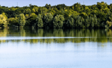 Lac avec des arbres verts qui se reflètent dessus.