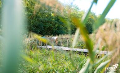 Panneau explicatif au bout d'un chemin en bois suspendu au dessus végétations (quelques centimètres) et entouré d'herbes hautes