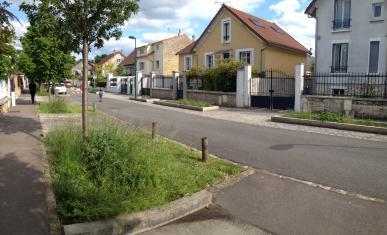 Aménagement de noues végétalisées et plantées d'arbres le long d'une rue bordée d'habitations