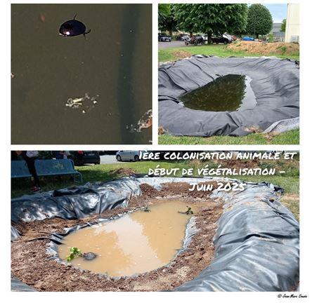 Mare Pédagogique collège Arthur Chaussy Brie Comte Robert