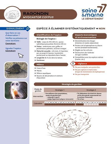 Première page de la fiche de reconnaissance du ragondin