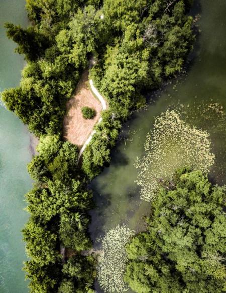 On voit l'ENS du Haut, comme une presque île dans une eau vert bleu