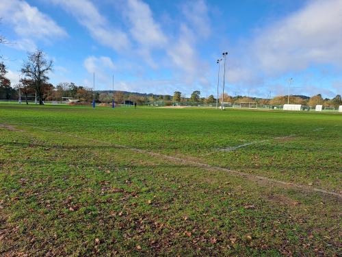 Un terrain de sport enherbé