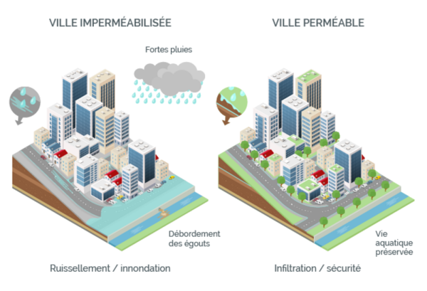 Cas d'une ville très imperméabilisée : en cas de forte pluie, l'imperméabilisation accentue les risques de ruissellement, l'impact des inondations par débordement, et les risque de pollution via le débordement des égouts. Dans une ville plus végétalisée et perméable, l'infiltration des eaux pluviales permet de réduire le ruissellement, les inondations par débordement, et évite les pollutions, ce qui permet de préserver la vie aquatique.