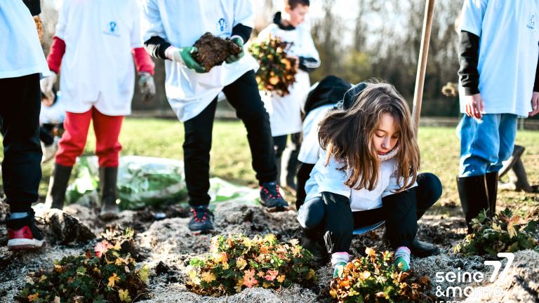 Des élèves en train de planter des vivaces dans un massif