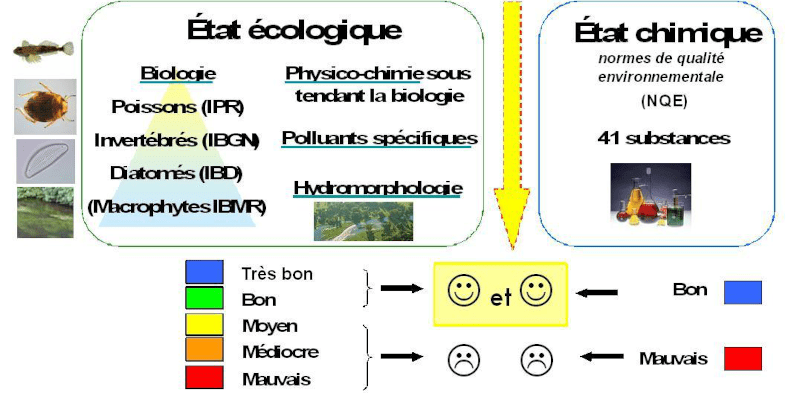 Graphique bon état des cours d'eau - Rapport 2017, données 2016