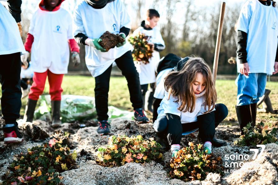 Des élèves en train de planter des vivaces dans un massif