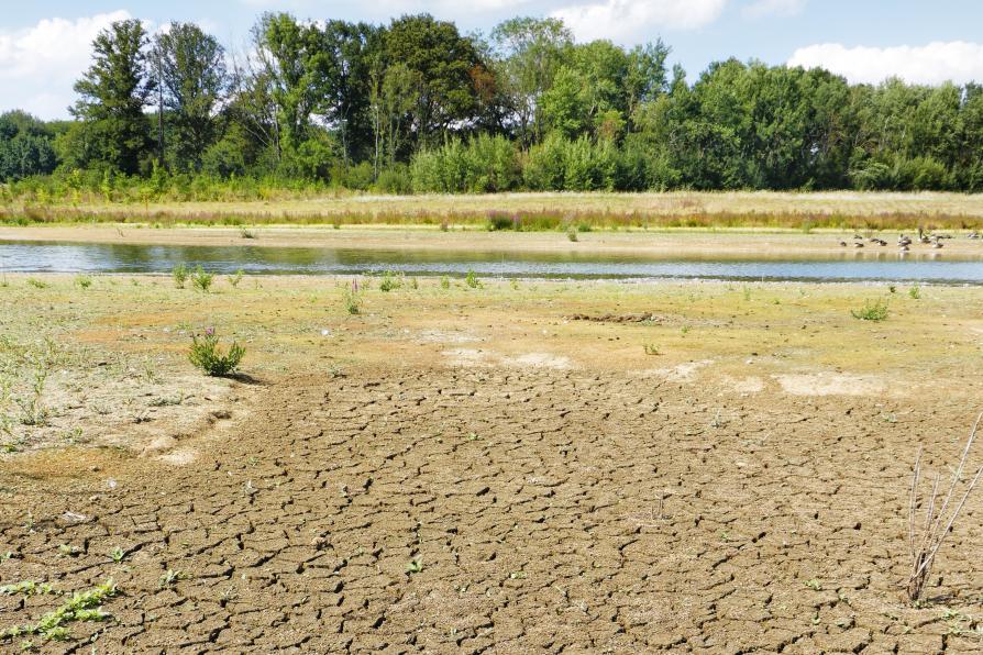 Un étang en grande partie asséché, avec de la terre craquelée au premier plan
