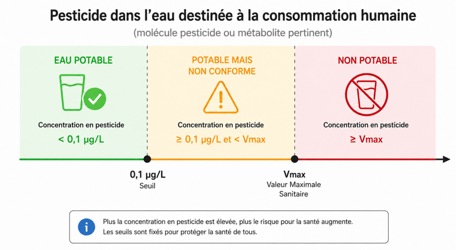 Agrandir l’image